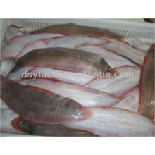 FROZEN TONGUE SOLE WHOLE ROUND HOOK CAUGHT FISH